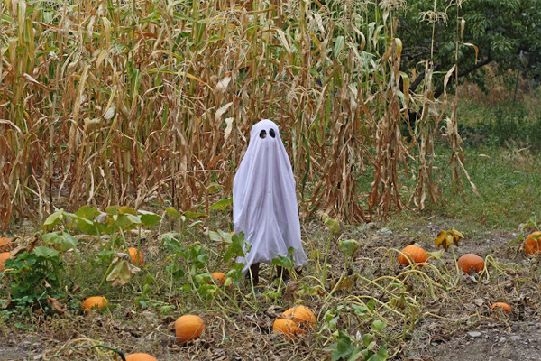 ghost-costume