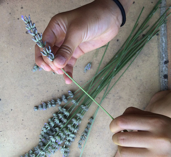 DIY lavender bouquet